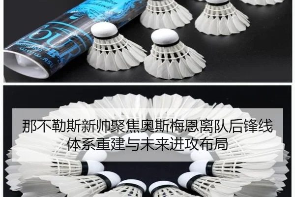 那不勒斯新帅聚焦奥斯梅恩离队后锋线体系重建与未来进攻布局
